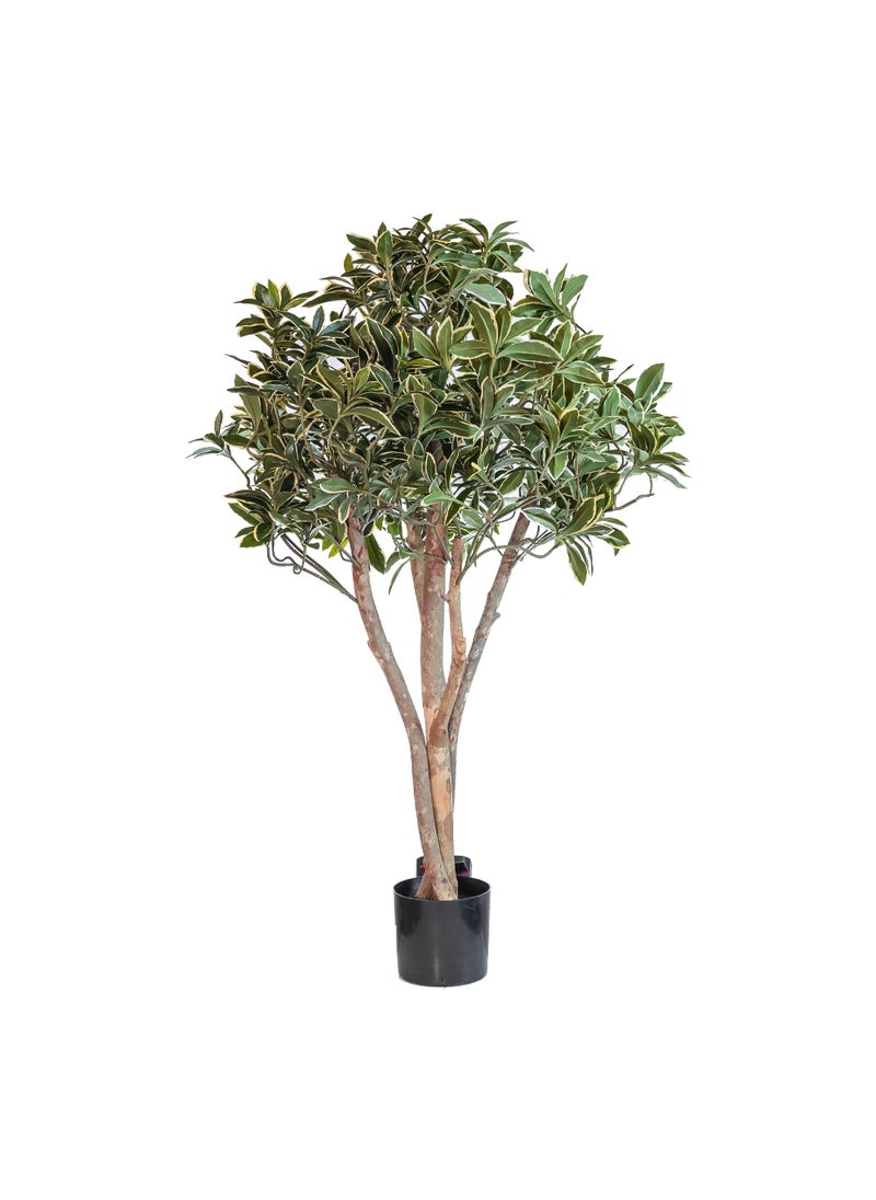 Gulf Flowers Gulf Flowers Artificial Euonymus Japonicus Tree – 80cm Tall Faux Green Plant with Real Trunk & 1386 Leaves – Decorative Indoor Tree for Home, Office, Hotel & Event Display  - Image 1