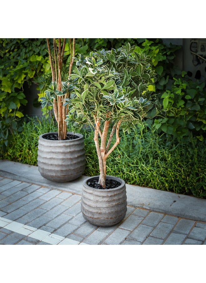 Gulf Flowers Gulf Flowers Artificial Euonymus Japonicus Tree – 80cm Tall Faux Green Plant with Real Trunk & 1386 Leaves – Decorative Indoor Tree for Home, Office, Hotel & Event Display  - Image 4