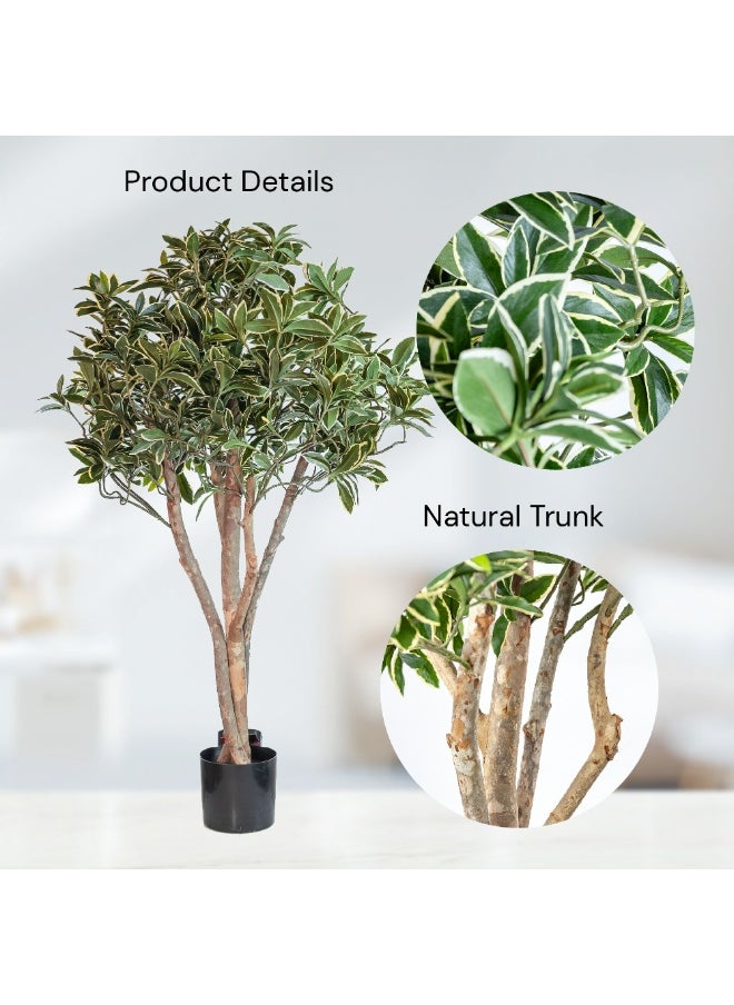 Gulf Flowers Gulf Flowers Artificial Euonymus Japonicus Tree – 80cm Tall Faux Green Plant with Real Trunk & 1386 Leaves – Decorative Indoor Tree for Home, Office, Hotel & Event Display  - Image 3