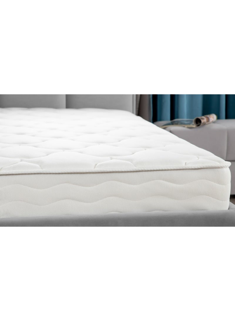 اسكونا Mattress Family Care 200x200*22 - Image 3