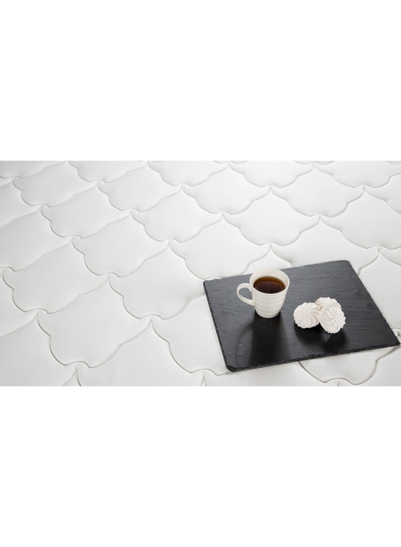 اسكونا Mattress Family Care 200x200*22 - Image 4
