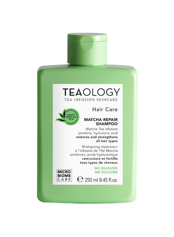 تيولوجي شامبو إصلاح الشعر بالشاي الأخضر من تيولوجي، يعيد بناء الشعر ويقويه، 250 مل - Image 1