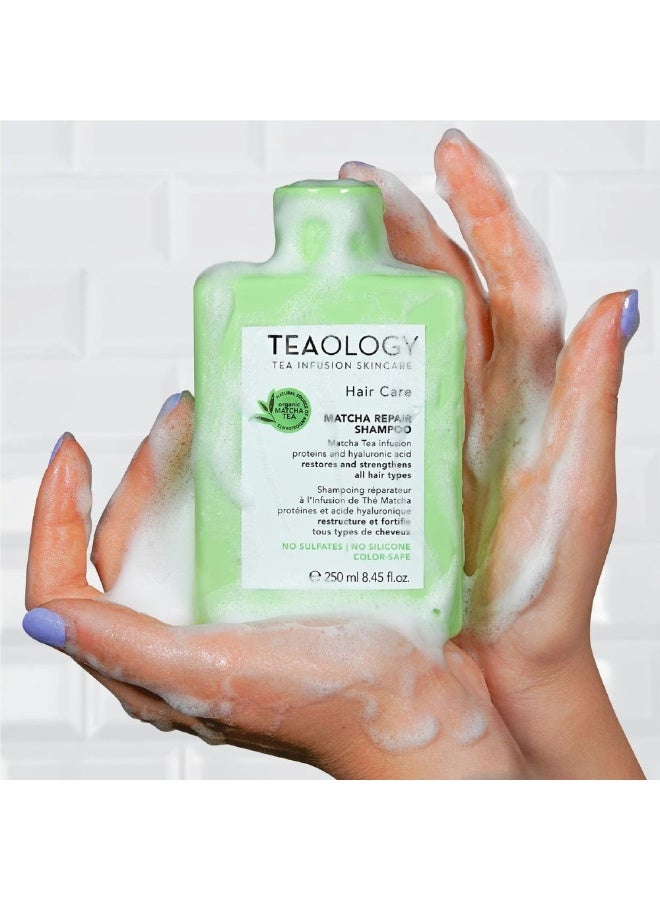 تيولوجي شامبو إصلاح الشعر بالشاي الأخضر من تيولوجي، يعيد بناء الشعر ويقويه، 250 مل - Image 2