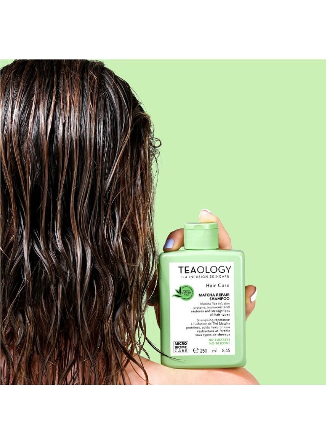 تيولوجي شامبو إصلاح الشعر بالشاي الأخضر من تيولوجي، يعيد بناء الشعر ويقويه، 250 مل - Image 3