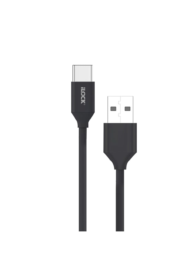 iLOCK USB Type-C Charger Adapter