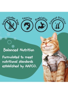 MOOCHIE Cat Adult Wet Food - Anchovy Flavor Pate - 12x70g - Great for Digestive Care  - Image 5