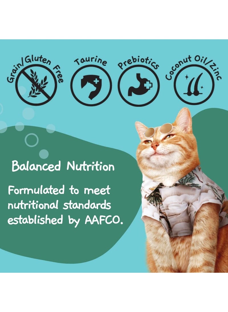 MOOCHIE Cat Adult Wet Food - Anchovy Flavor Pate - 12x70g - Great for Digestive Care  - Image 5