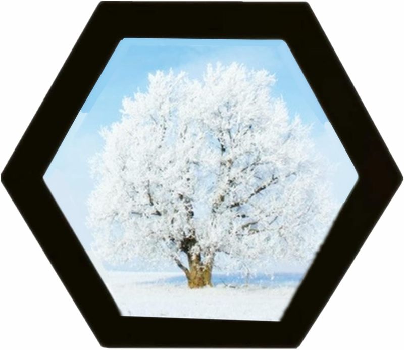 Hexagon Shaped Photo Frame 8 Inch Black: Durable Wood Acrylic Mdf Material - Easy To Install Wall Hanging Picture Frame For Home Office Hotels Galleries Gift Giving - Image 2
