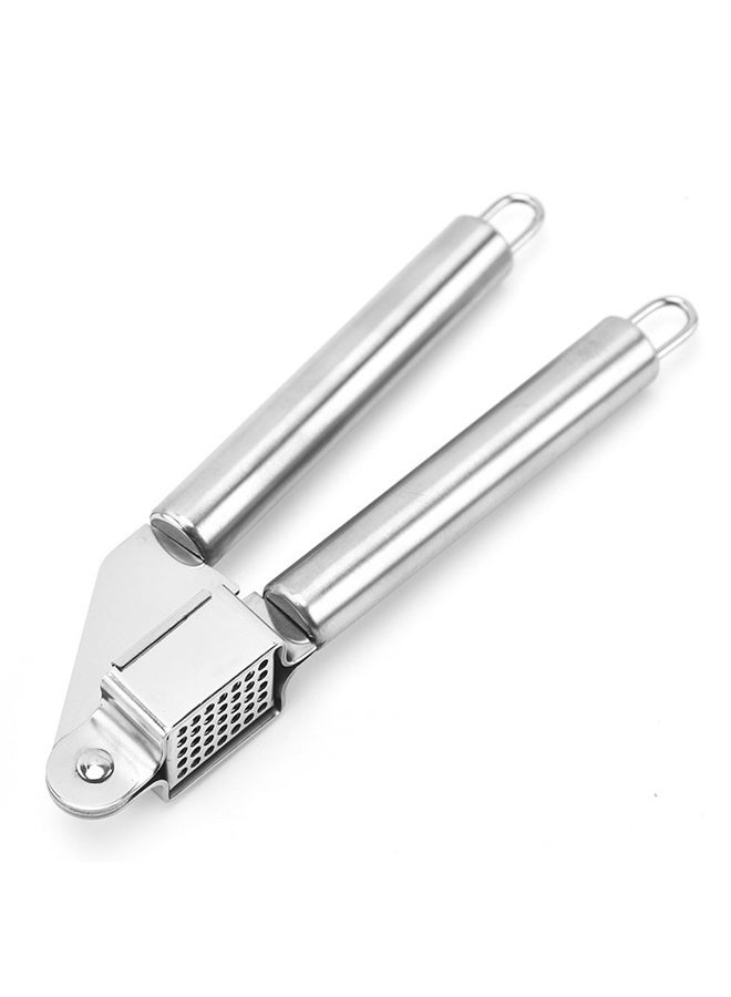 Stainless Steel Garlic Press - Image 1