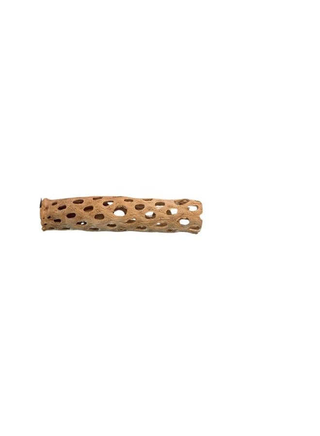 Polly's Cholla Cactus Bird Perch, Small - Image 1