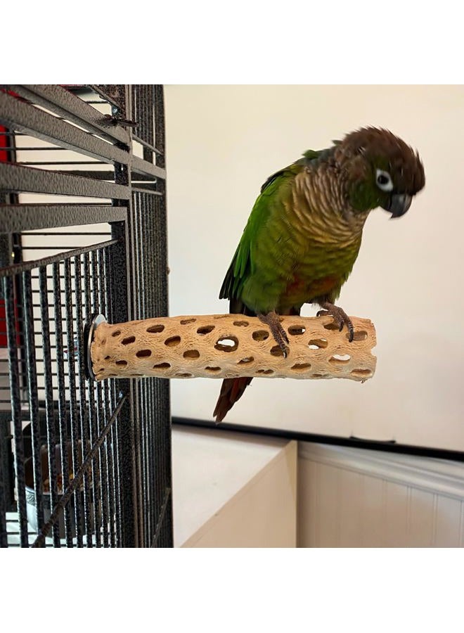 Polly's Cholla Cactus Bird Perch, Small - Image 3