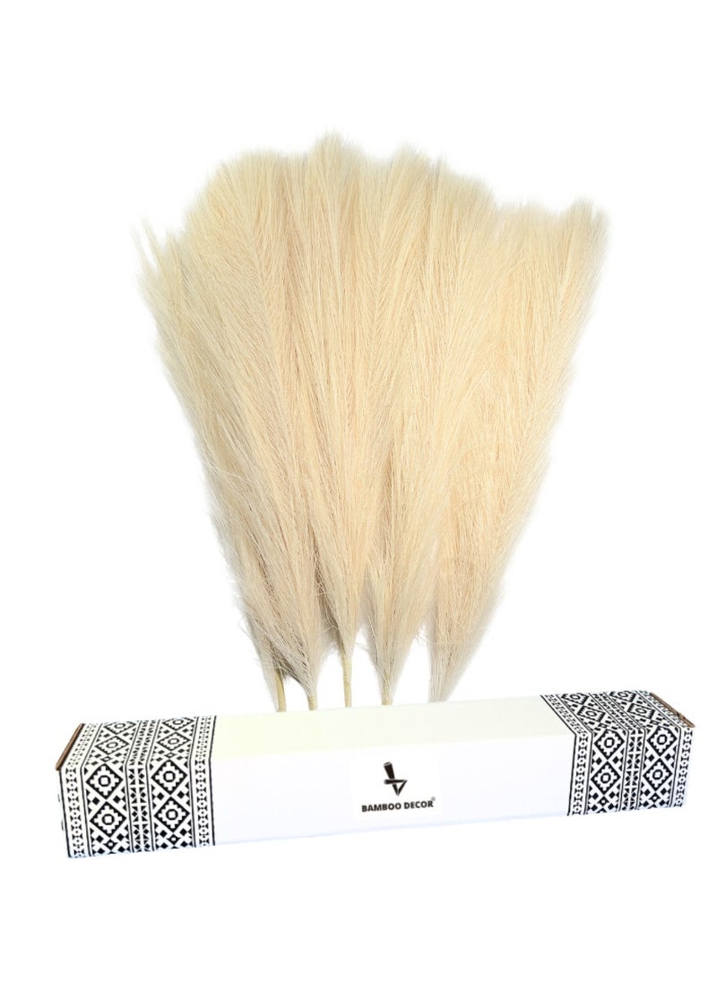 BAMBOO DECOR Bamboo Decor | Faux Pampas Grass 5 Pieces Of Artificial Dried Plants Extra Fluffy Stems For Vase Dried Fake Flowers For Boho-Vintage-Farmhouse Decor (Beige)  - Image 1