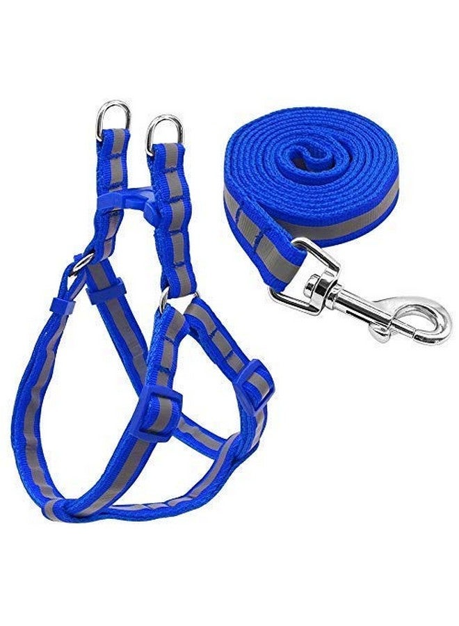 15 Mm Soft Nylon Strip Pattern Radium/Reflective Dog Harness And Leash Set Ideal For Puppies And Small Breed Dogs (Blue) - Image 1