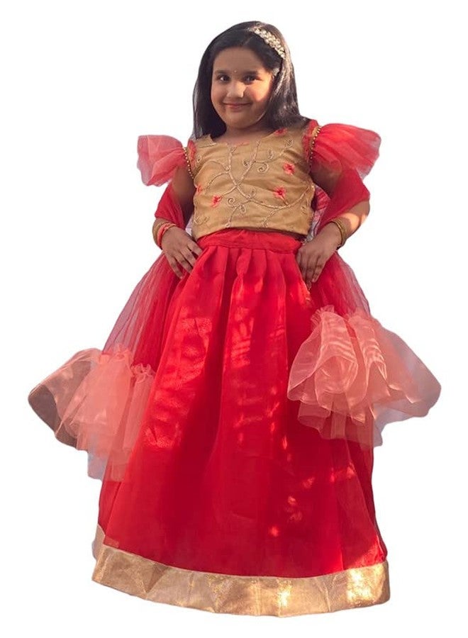 Aglare lehenga choli,Beautiful organza Lahenga,Brocade blouse, online lehenga choli,STITCHED Peach red - Image 2