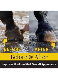 Fiebing's Fiebing's Hoof Oil for Horses With Mineral Oil (32 oz) - Hoof Dressing With Applicator Brush to Condition Dry, Split Hooves & Corns - Prevents Cracks, Splits & Contracted Feet with Semi Gloss Finish  - Image 5