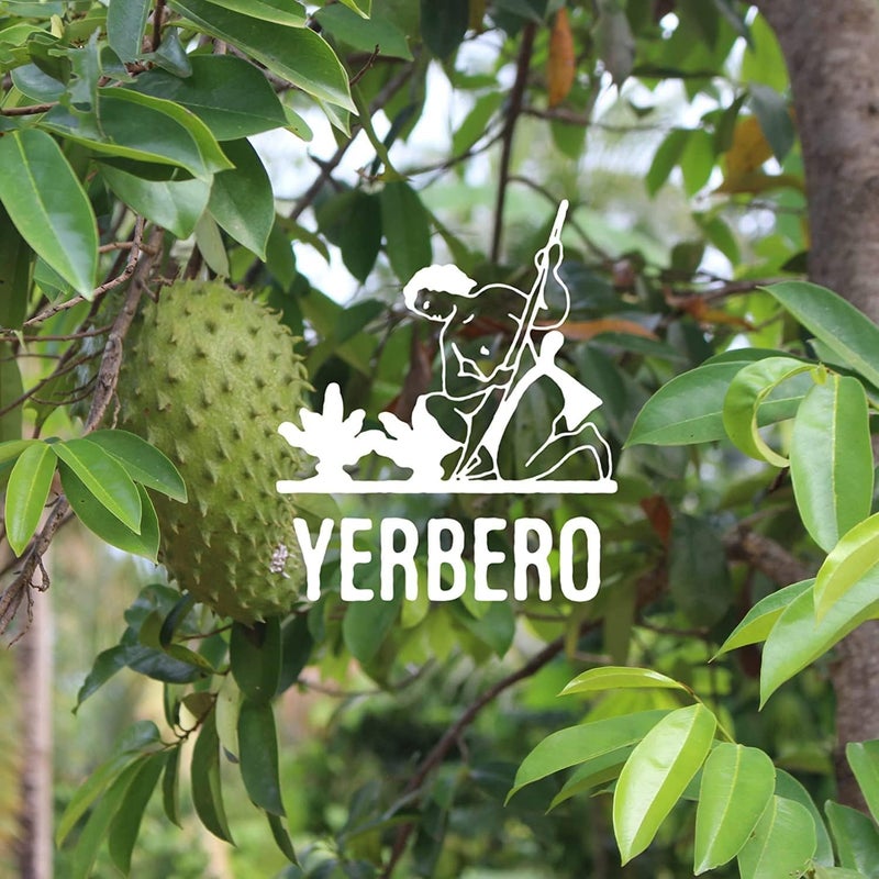 YERBERO أوراق جرافيولا المجففة بالكامل من ييربيرو - Image 5