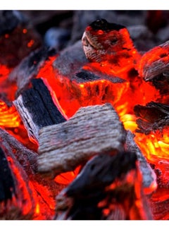 GO2CAMPS 10 KG - Mumtaz Natural Hardwood Charcoal/BBQ Wooden Charcoal  - Image 3