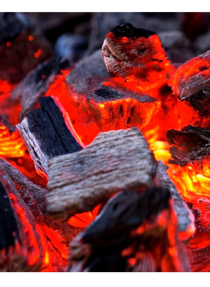 GO2CAMPS 10 KG - Mumtaz Natural Hardwood Charcoal/BBQ Wooden Charcoal  - Image 3