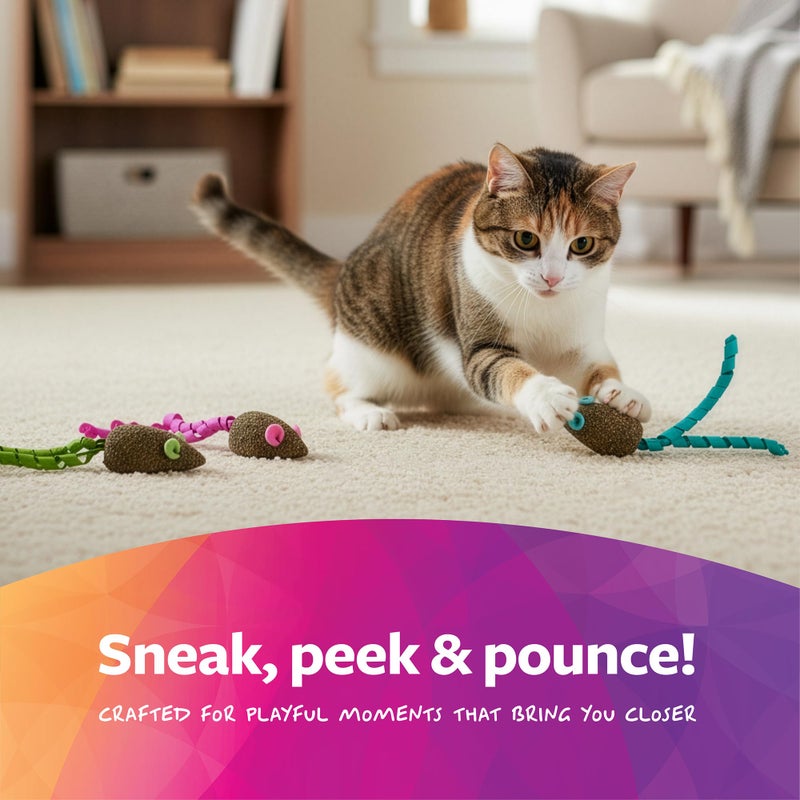 SmartyKat Magic Mice Compressed Catnip and Ribbon Cat Toys, Mess-Free for Hunting & Batting Fun for Cats & Kittens, Set of 3 - Image 5