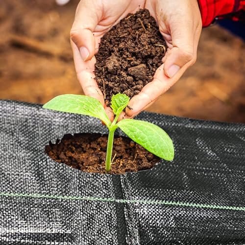 Singhal Premium Weed Mat for Agriculture and Gardening 1x10 Mtr, Weed Block Gardening Mat, Landscape Fabric, Durable Outdoor 3.28 x 32.81 Feet 110 GSM - Image 5