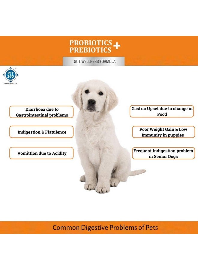 PET360 PROBIOTICS + PREBIOTICS Gut Wellness Formula for Dogs & Cats | Probiotic Supplement | Prevents Diarrhea & Indigestion | Cat & Dog Gut Health Supplement for Improved Immunity - 10 Sachets - Image 3