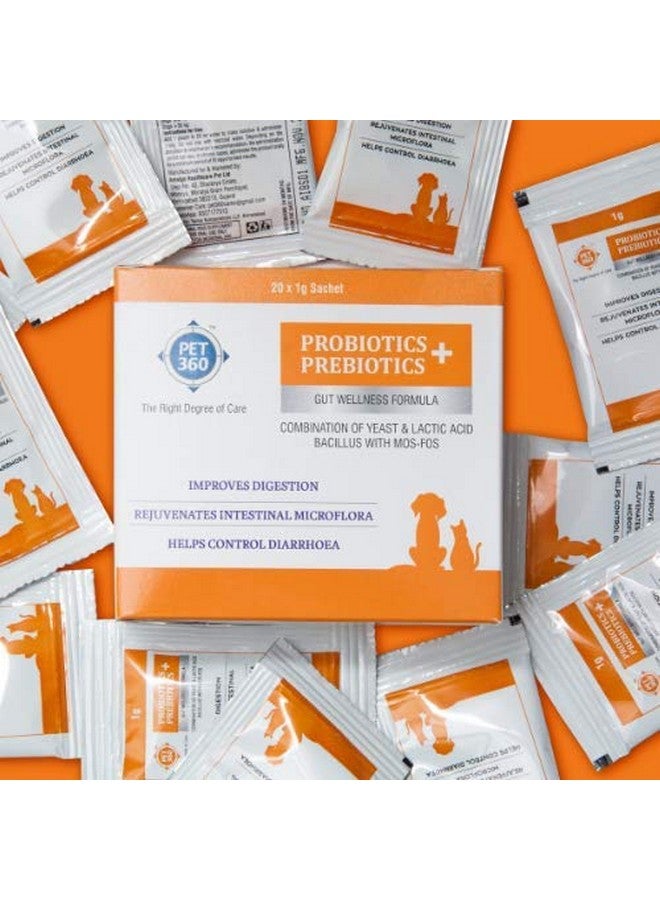 PET360 PROBIOTICS + PREBIOTICS Gut Wellness Formula for Dogs & Cats | Probiotic Supplement | Prevents Diarrhea & Indigestion | Cat & Dog Gut Health Supplement for Improved Immunity - 10 Sachets - Image 2
