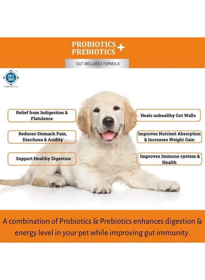 PET360 PROBIOTICS + PREBIOTICS Gut Wellness Formula for Dogs & Cats | Probiotic Supplement | Prevents Diarrhea & Indigestion | Cat & Dog Gut Health Supplement for Improved Immunity - 10 Sachets - Image 4