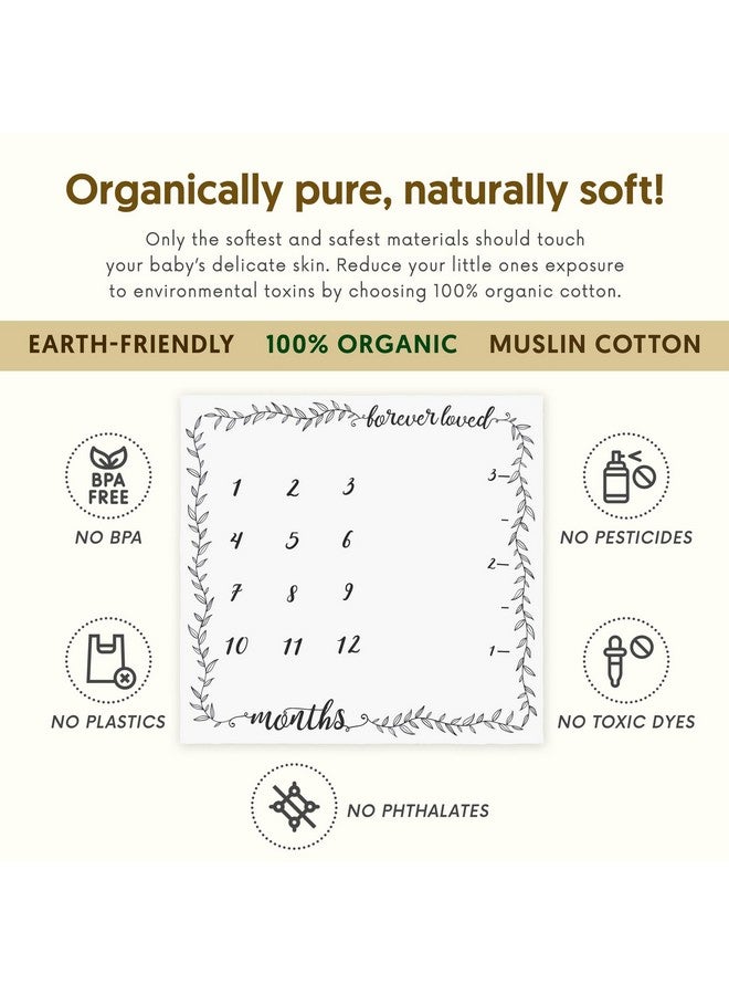 Pondering Pine Organic Baby Monthly Milestone Blanket Boy Or Girl - Months Blanket With Wood Frame And Newborn Announcement Disc - Growth Chart Milestone Blanket Neutral, 1-12 Month Milestones, 47”X47”  - Image 3
