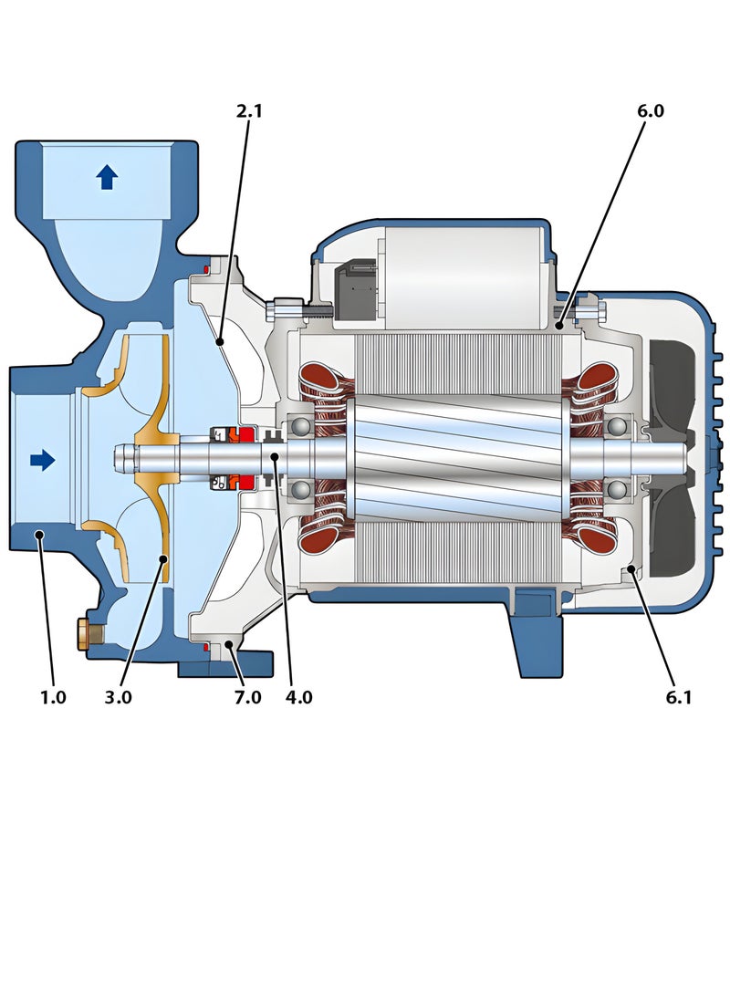 Pedrollo - 3 HP Pump for Water - Image 1