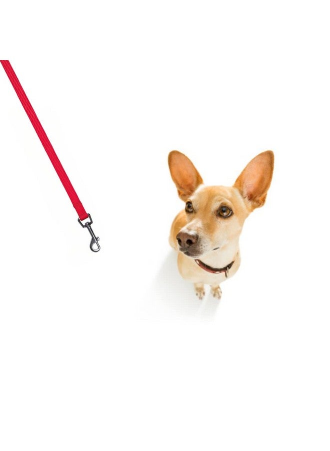 تريكسي سلسلة كلاسيكية | سلسلة كلاب قابلة للتعديل من النايلون بخطافات من الفولاذ المقاوم للصدأ | حلقة مبطنة تمنح قبضة مريحة - (4 أقدام/15 مم، مقاس XS-S) أحمر - Image 4