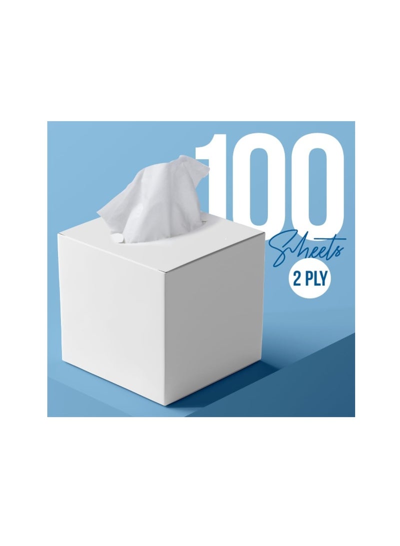 Nice Touch Facial Tissue - 2-Ply X 6 Cube Boxes of 100 Sheets Each - 600 Premium Soft Feel and Absorbent Tissues for All Skin Types and any event - Image 4