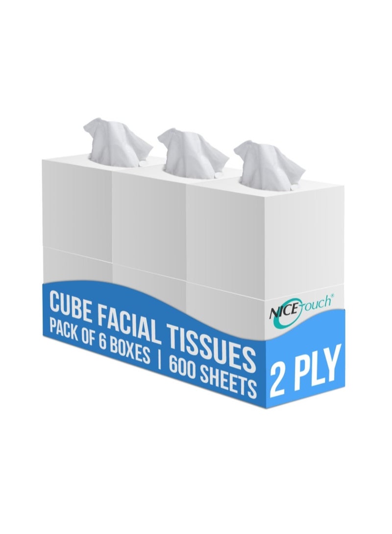 Nice Touch Facial Tissue - 2-Ply X 6 Cube Boxes of 100 Sheets Each - 600 Premium Soft Feel and Absorbent Tissues for All Skin Types and any event - Image 1