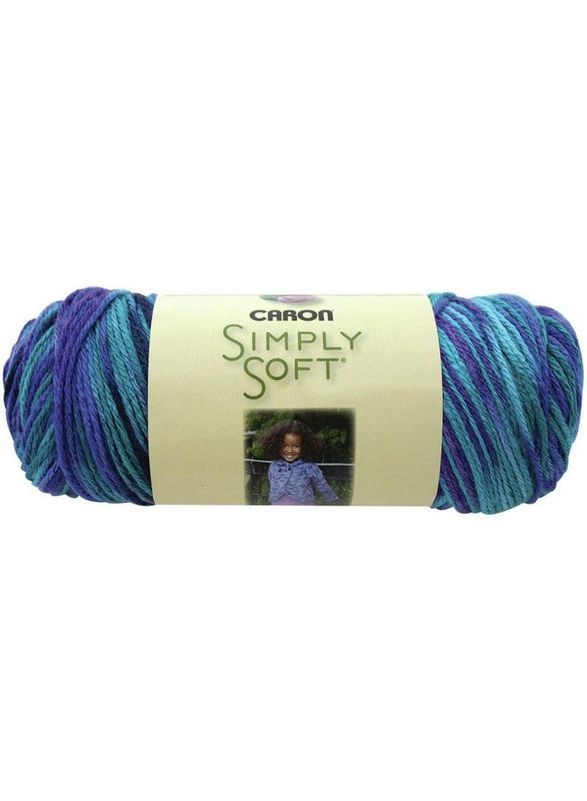 CARON Oceana Simply Soft Paints Yarn Multipack Of 12 12 Pack - Image 4