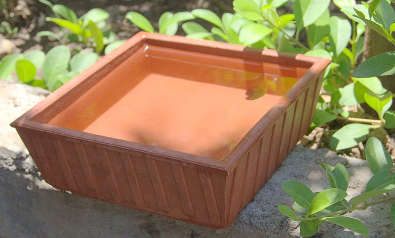 Doraya Doraya Clay Natural Mitti Bird Bath Brown 15x15x5 cm 