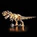 BrickBling LED Light Only Compatible with Lego Dinosaur Fossils Tyrannosaurus rex Creative Lighting Kit Compatible with Lego 76968Not Come with Model Classic Version Light - Image 2