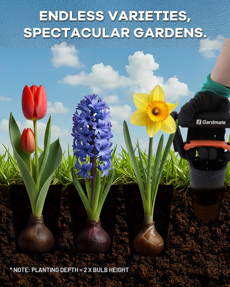 gardmate Store Bulb Planter Tool - One-Touch Automatic Bulb Planter for Bulbs, Seeds & Seedlings - 5" Depth Stainless Steel Garden Bulbs Dibber with Ergonomic Handle - No Bend Planting, Includes Gloves - Image 4