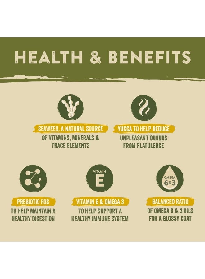 Harringtons Complete Dry Adult Dog Food Salmon & Potato 12 kg - Made with All Natural Ingredients - Image 4