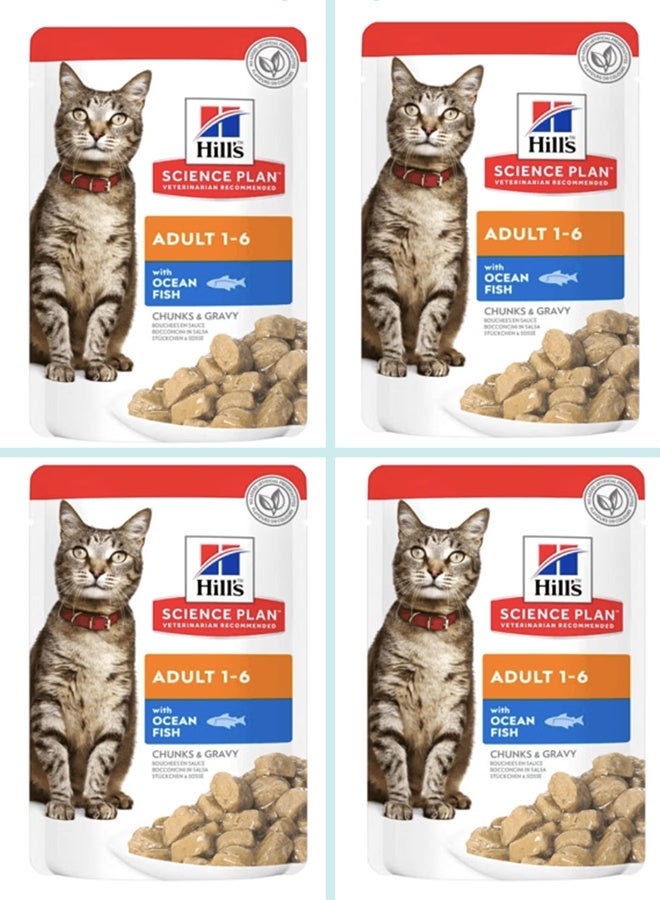 هيل طعام القطط الرطب من هيلز ساينس بلان للبالغين من عمر 1 إلى 6 سنوات مع قطع من أسماك المحيط في المرق - 4 أكياس، حجم كل كيس 85 غرام - Image 1