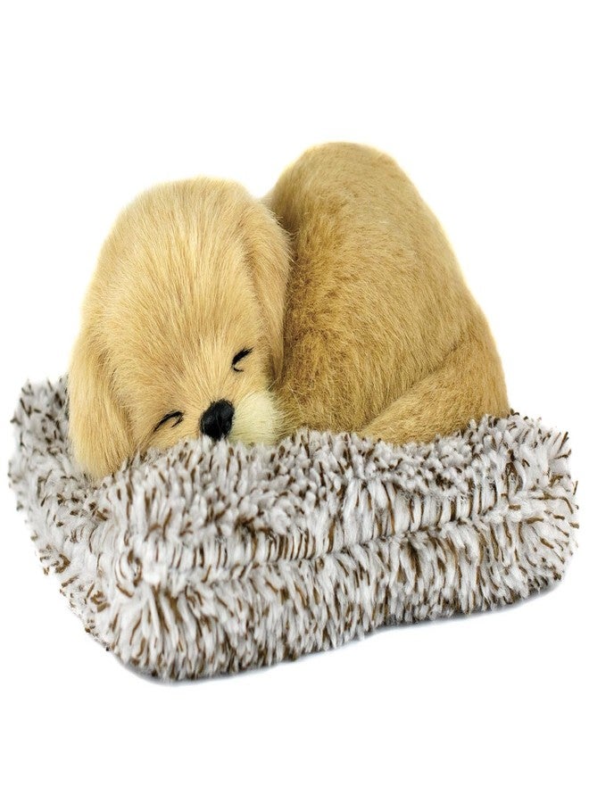 Tickles Sleeping Dog On Carpet Silicone Animal Fantasy Toy for Kids Car Dashboard & Office Desk (Color: Light Golden Size: 8 Cm) - Image 1