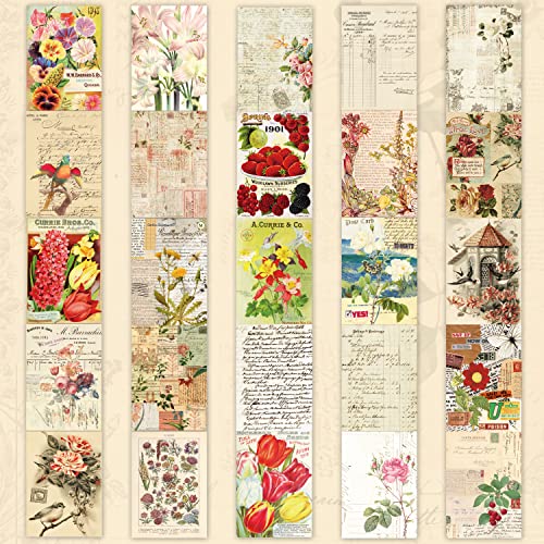 emmoolife 537pcs Vintage Washi Stickers and Papers for Scrapbooking, Ephemera Book for Journaling with Botanical Sticker and Scrapbook Decoupage Paper for Bullet Junk Journal, Scrapbooking Supplies for Adults - Image 4