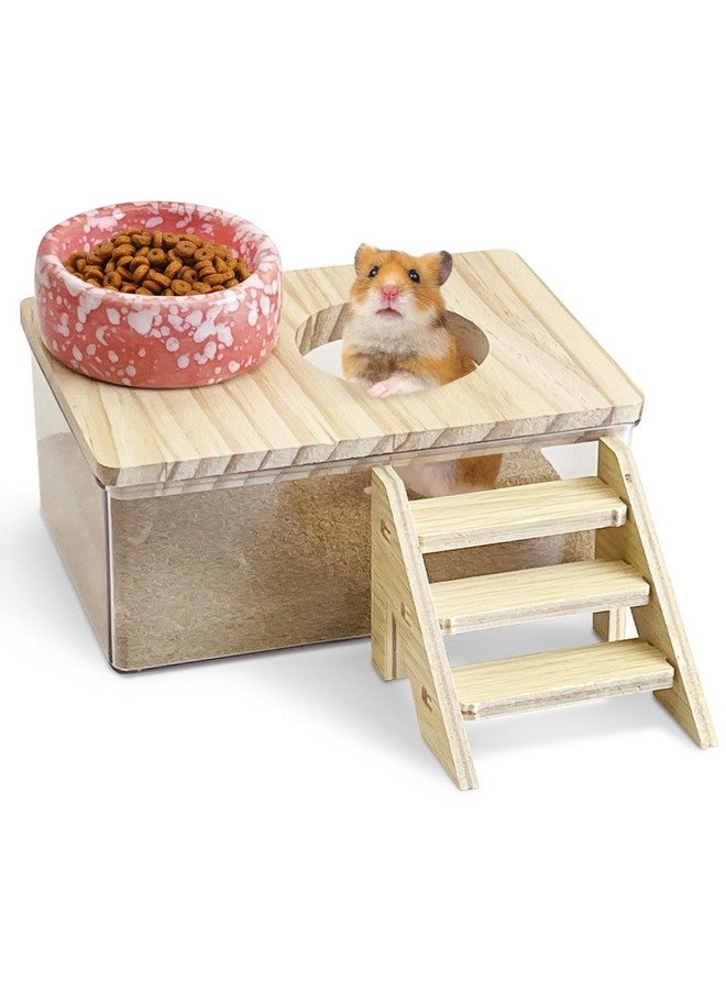 كاثسون صندوق حمام رمل الهامستر من كاثسون، أكريليك شفاف، حوض استحمام صغير للهامستر السوري، حاوية رمل حفر صغيرة مع سلم للتسلق ووعاء سيراميك، ملحقات قفص للفئران والقوارض - Image 1