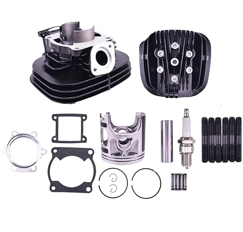 WQSING Cylinder Head Piston Ring Gasket Top End Kit Compatible with Yamaha YFS200 Blaster 200 1988-2006 195cc 66mm 2XJ-11311-02-00 2XJ-11111-00-00 3JM-11351-02-00 - Image 1