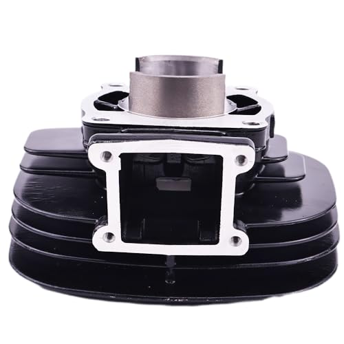 WQSING Cylinder Head Piston Ring Gasket Top End Kit Compatible with Yamaha YFS200 Blaster 200 1988-2006 195cc 66mm 2XJ-11311-02-00 2XJ-11111-00-00 3JM-11351-02-00 - Image 2