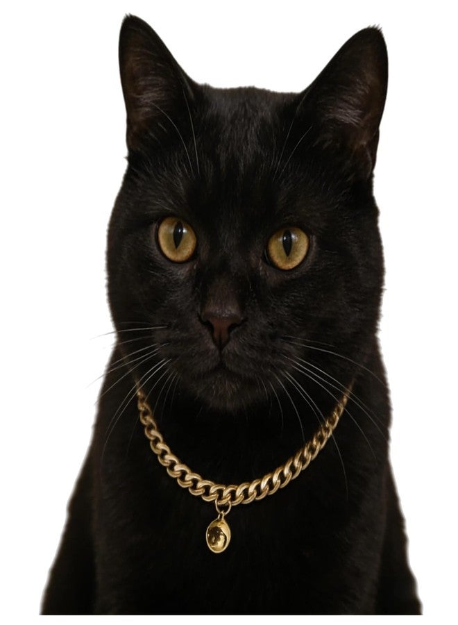 Cwyza Gold Cat Chain Collar with Removable Bell,Adjustable Cuban Link Metal Necklace, Cute Pet Jewelry for Cats & Small Dogs - Image 1