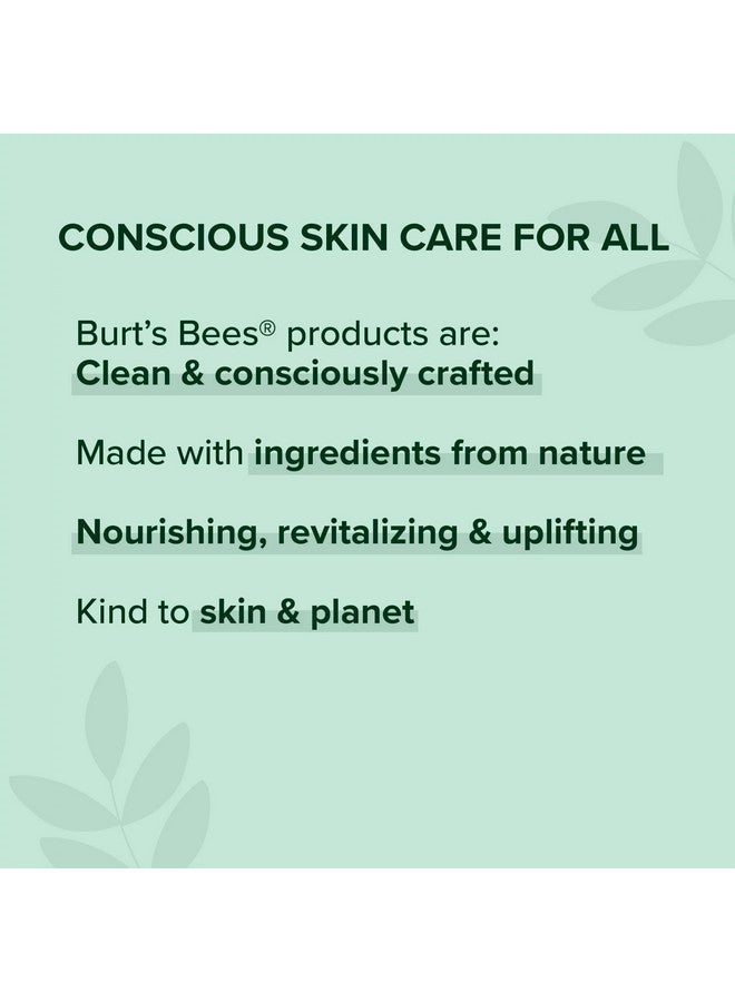 بيرتس بيز مرطب شفاه بيرتس بيز، مرطب فائق مع زبدة الكوكوم، 0.15 أونصة (عبوة من 4 قطع) - Image 4