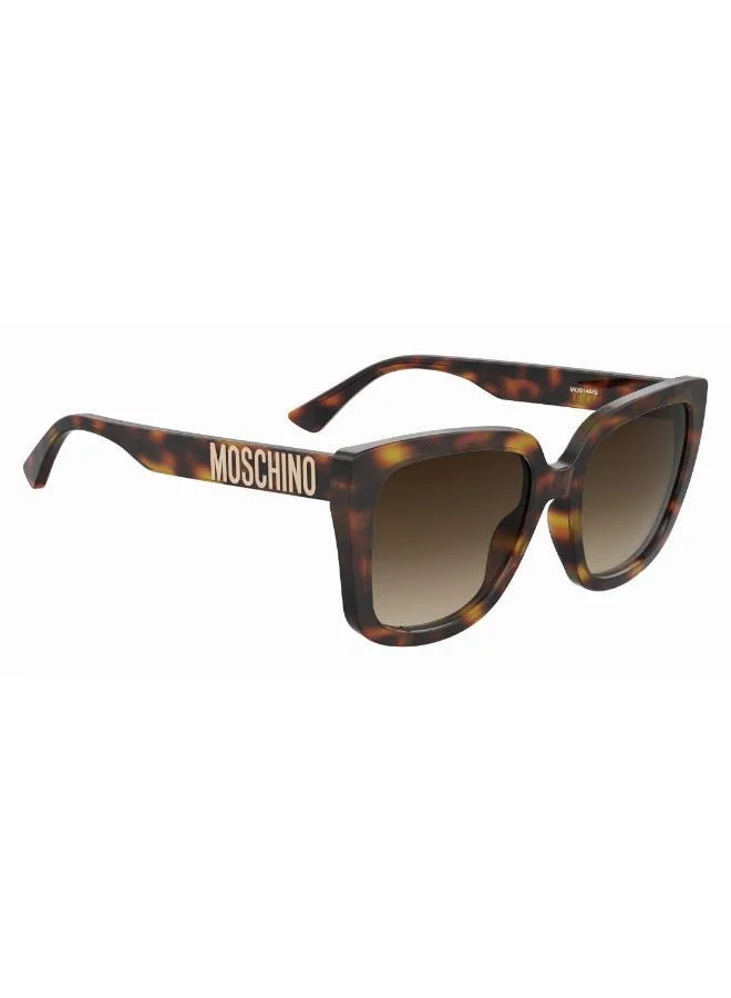 MOSCHINO Moschino Sunglasses MOS146/S