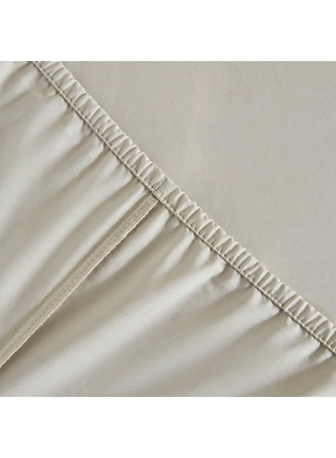 Home Box Purely Percale Olympic Queen Fitted Sheet 200 x 40 x 160 cm