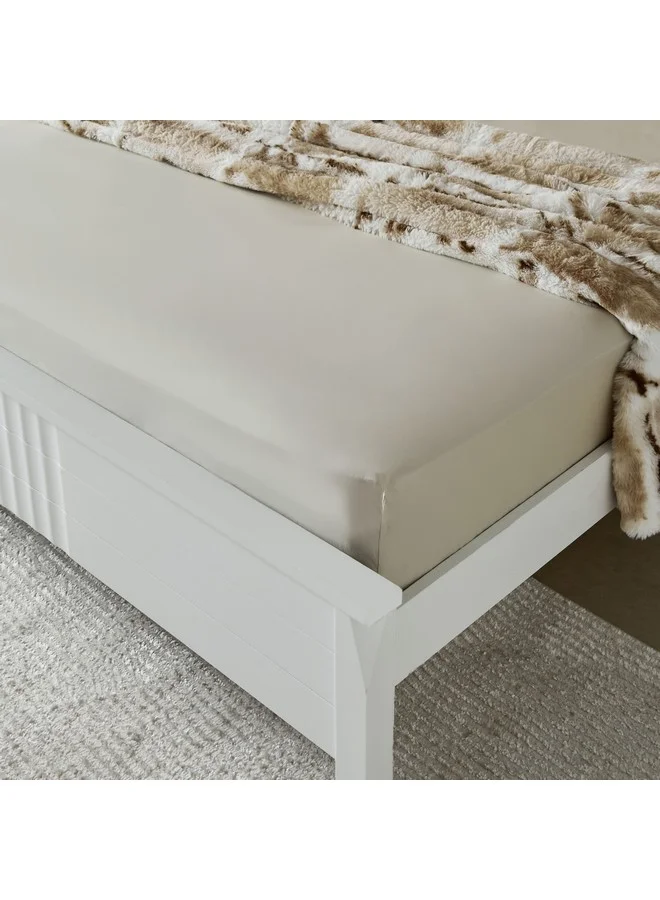 Home Box Purely Percale Olympic Queen Fitted Sheet 200 x 40 x 160 cm