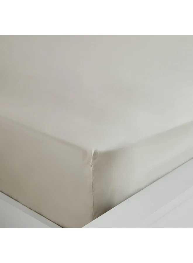 Home Box Purely Percale Olympic Queen Fitted Sheet 200 x 40 x 160 cm