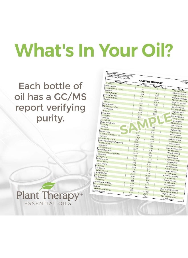 Plant Therapy - Plant Therapy KidSafe Feelin' Good Essential Oil Blend Set - Image 1